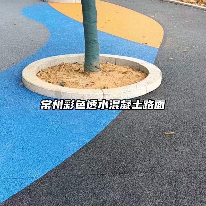 常州彩色透水混凝土路面