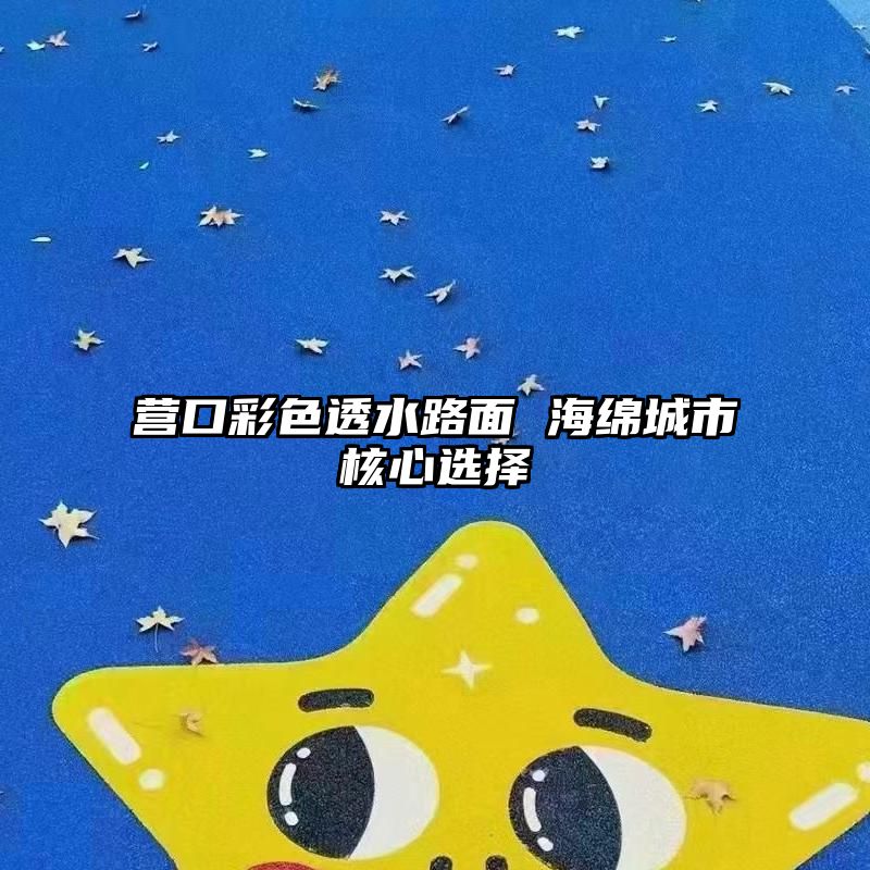 营口彩色透水路面 海绵城市核心选择