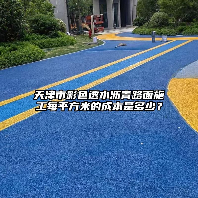 天津市彩色透水沥青路面施工每平方米的成本是多少？