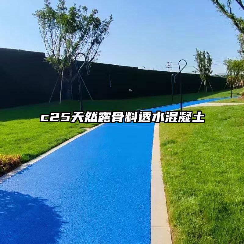 c25天然露骨料透水混凝土 